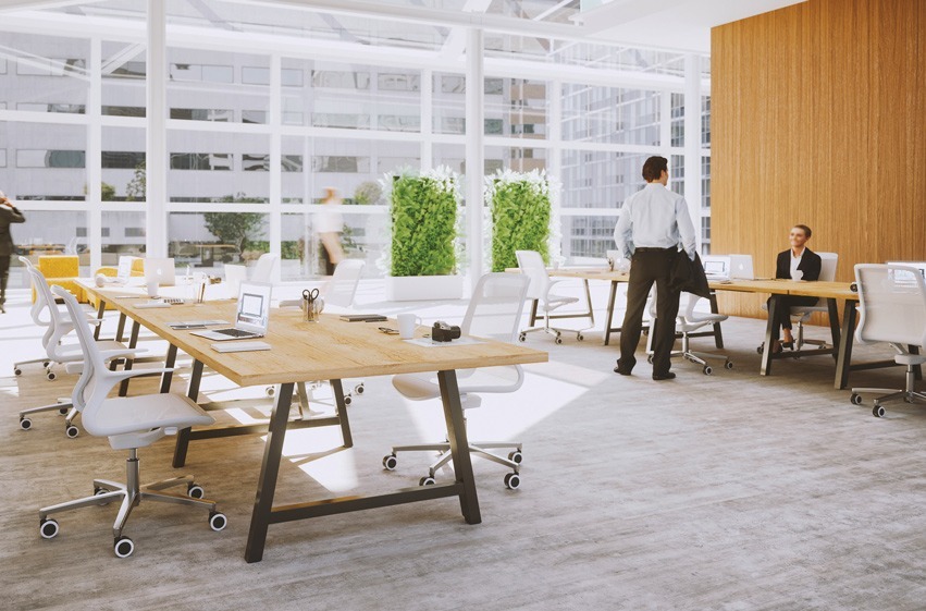 Aménagement d'un open space rempli de lumière naturelle