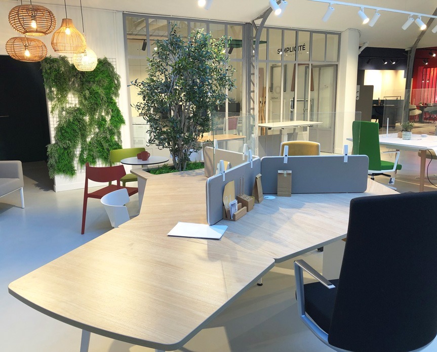 Aménagement d'un showroom avec habillages muraux végétaux